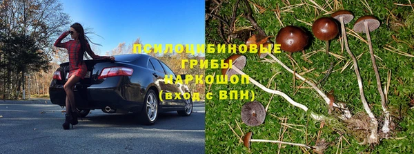 Альфа ПВП Аркадак