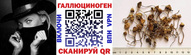 Псилоцибиновые грибы мицелий Нытва